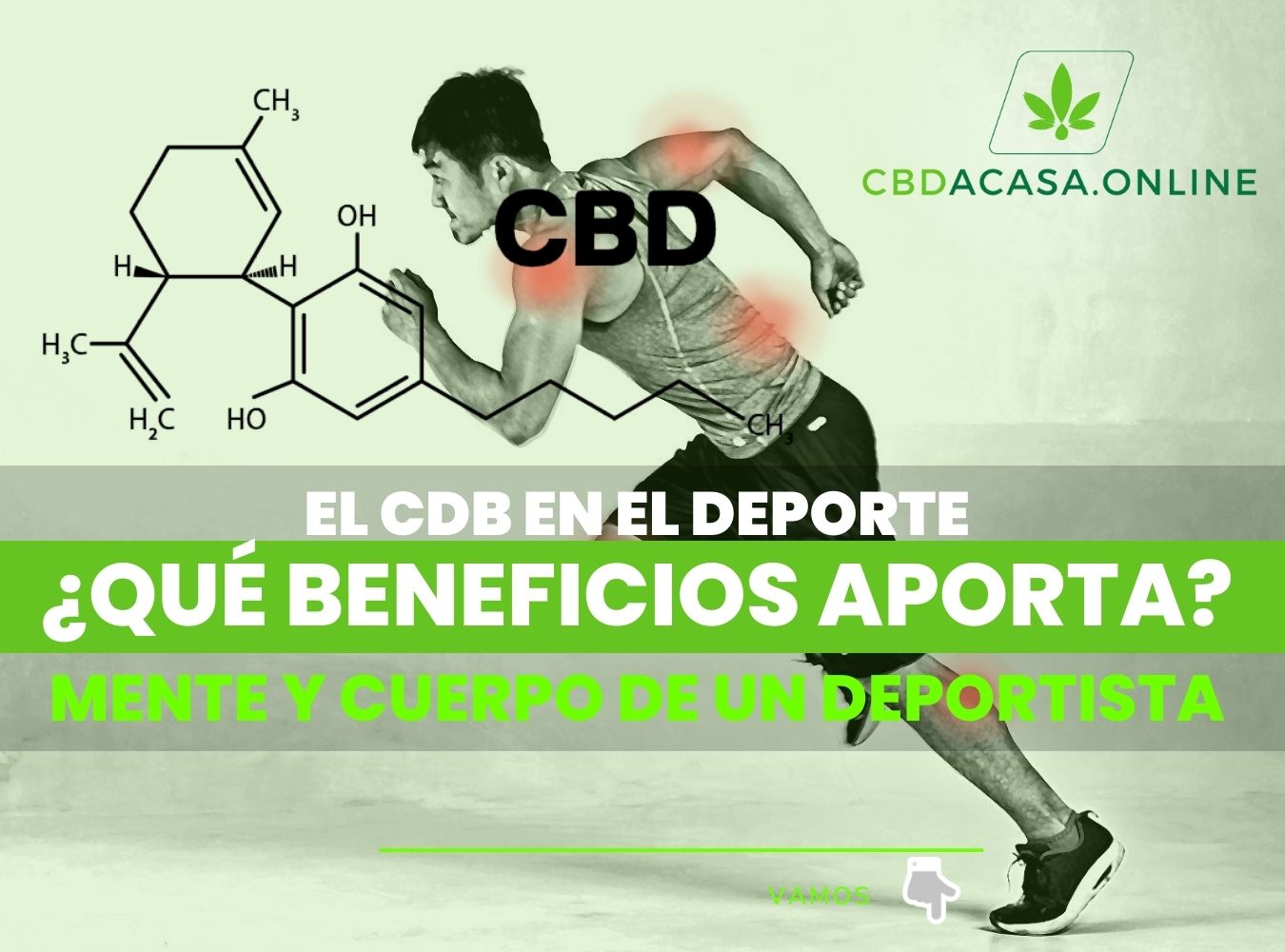 Los beneficios del CBD y el deporte