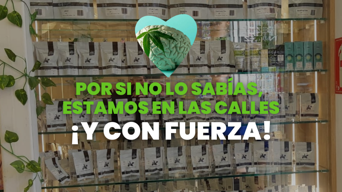 Venta de CBD barato
