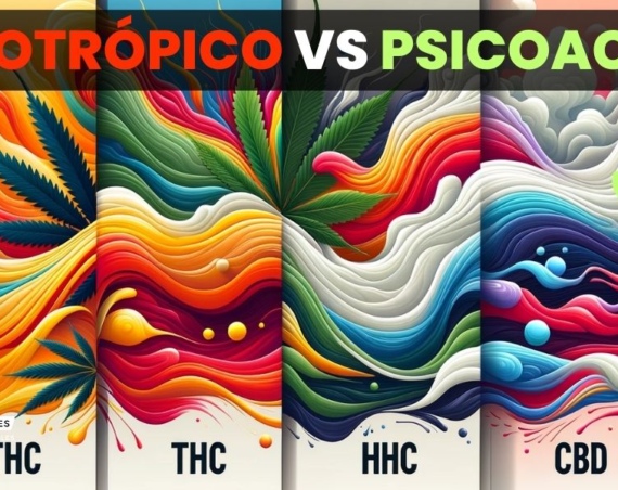 el cbd es psicotrópico o psicoactivo?