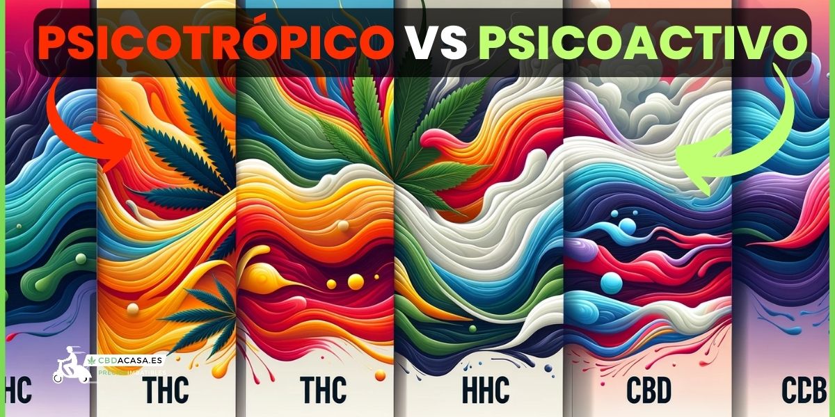 el cbd es psicotrópico o psicoactivo?