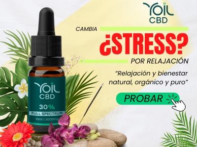 CBD en aceite