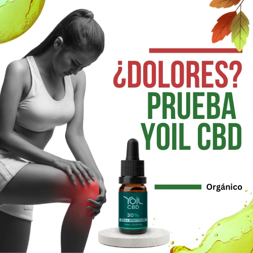 Aceite CBD Yoil organico
