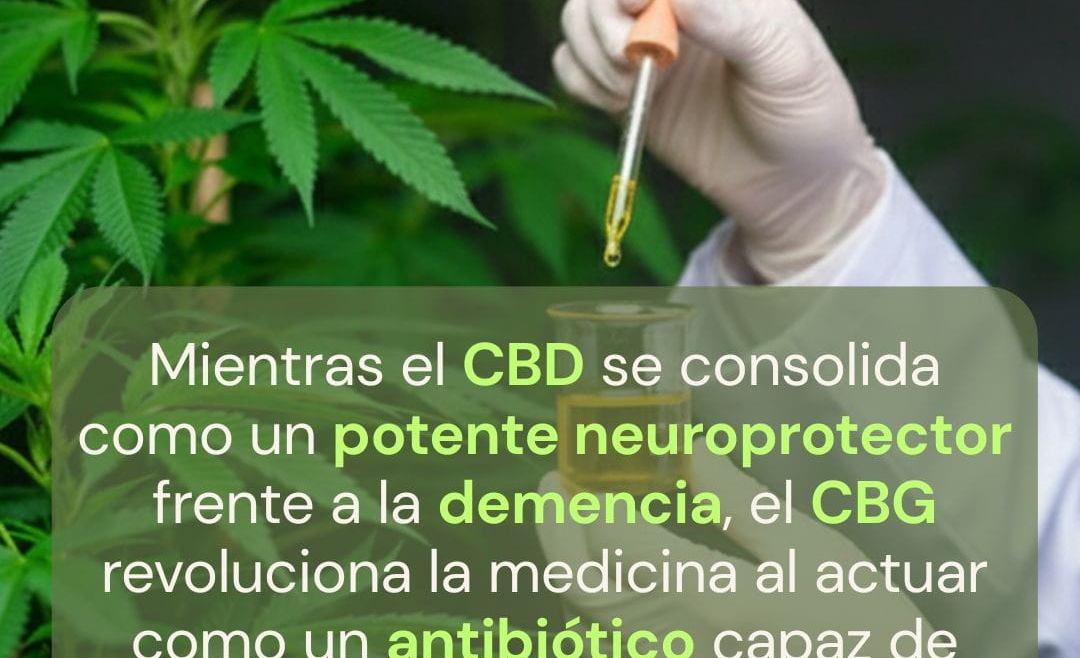 CBD como aliado