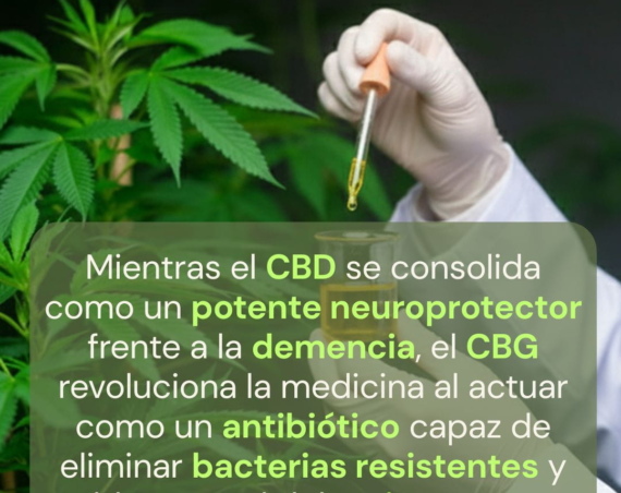 CBD como aliado