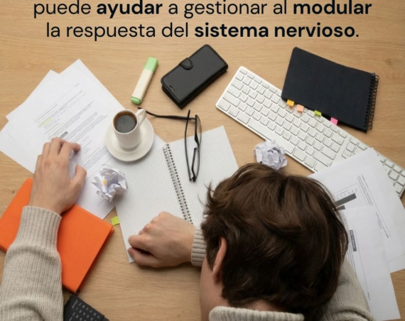 Como el CBD te puede ayudar a calmar el estrés
