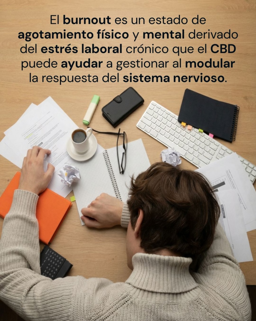 Como el CBD te puede ayudar a calmar el estrés